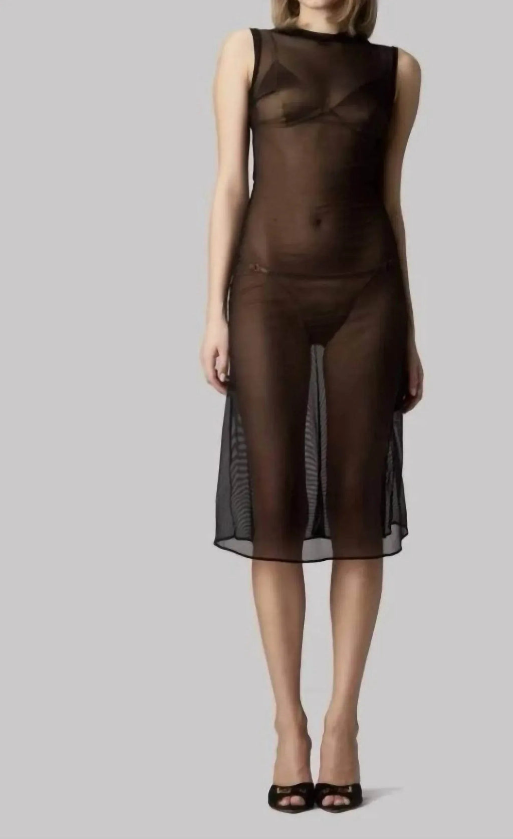Sheer Dress
