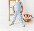 Boys' Bunny Toile Distressed Overall Set