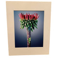 New 8 X 10 Clover Flower Original Photograph Gail Gates Print w 11 X 14 Mat