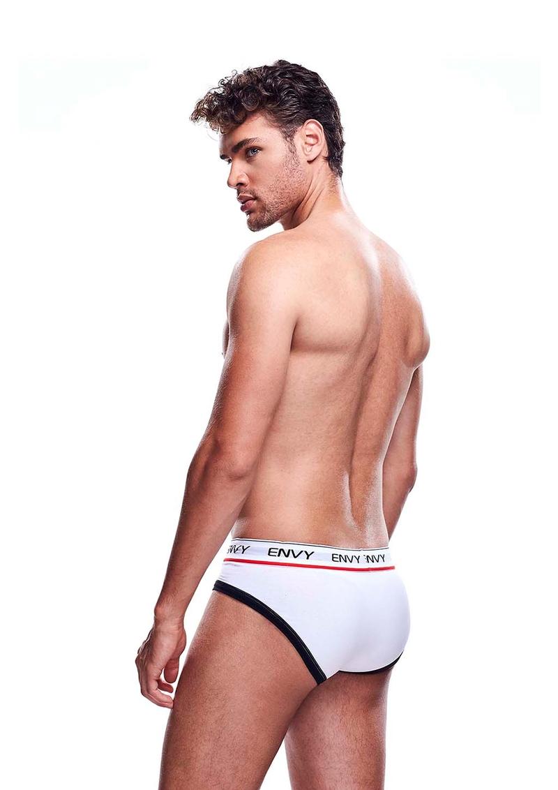 Envy Mesh Brief