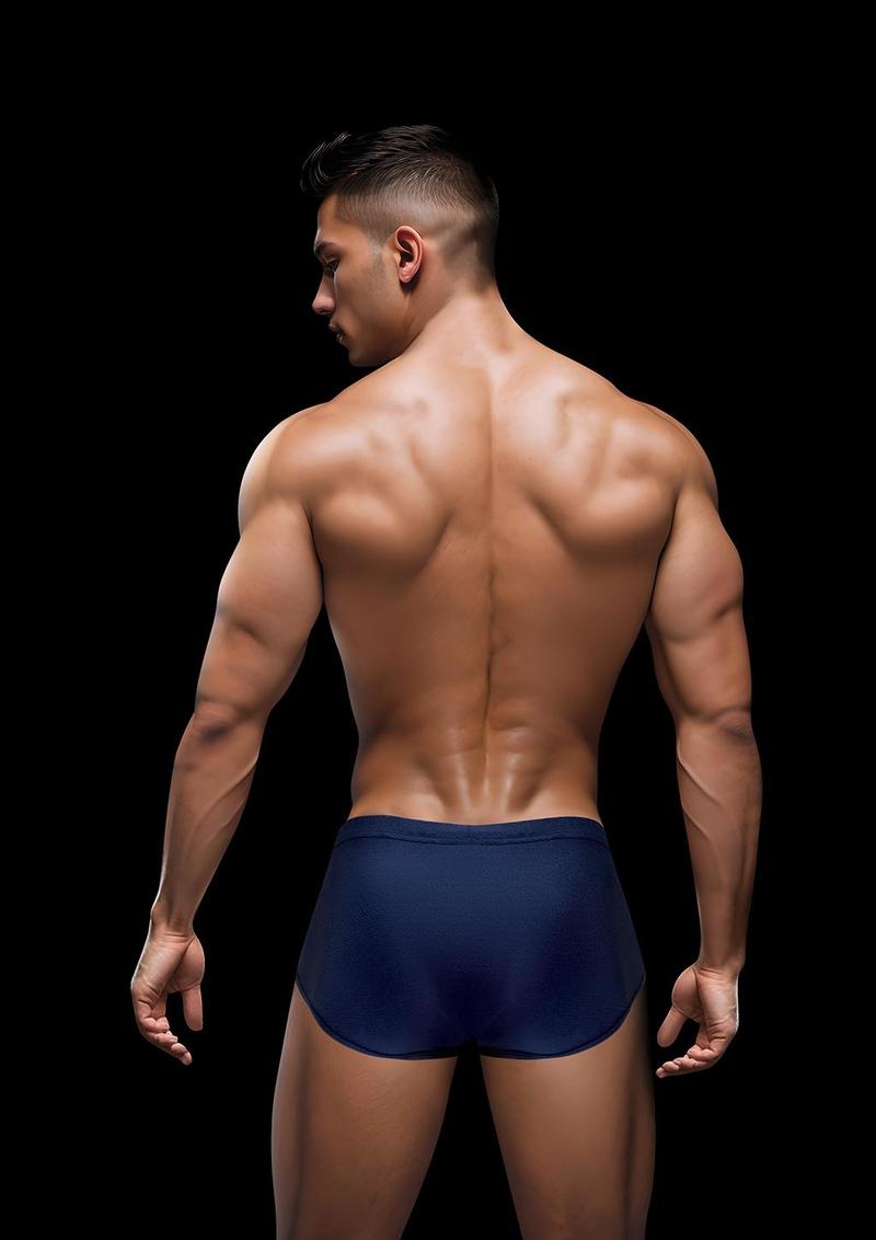 Envy Sexy Slinky Brief