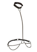 Euphoria Collection Chain Halter/Collar and Leash