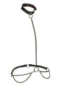 Euphoria Collection Chain Halter/Collar and Leash