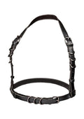 Euphoria Collection Halter Buckle Harness