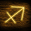 Neon Sign Sagittarius Zodiac Led Signs - Astrology Neon Wall Signs, Neon Lights for Bedroom - Zodiac Themed Neon Decor Birthday Gift (11.4 X 11 Inch)