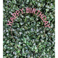 Women's Happy Birthday Rhinestone Headband
