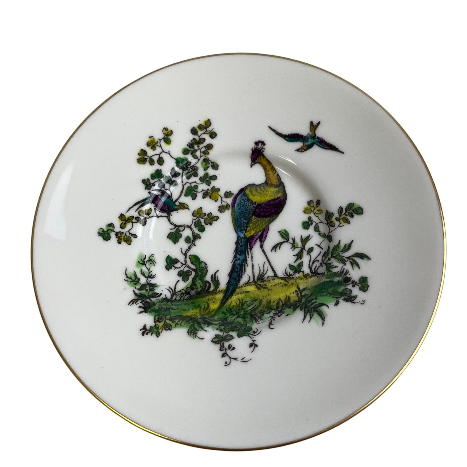 Vintage Royal Worcester England Z2622 Peacock Birds Fine Bone China Teacup Set