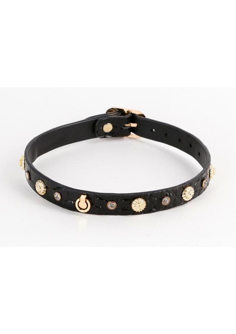 Fetish and Fashion Alina Collar
