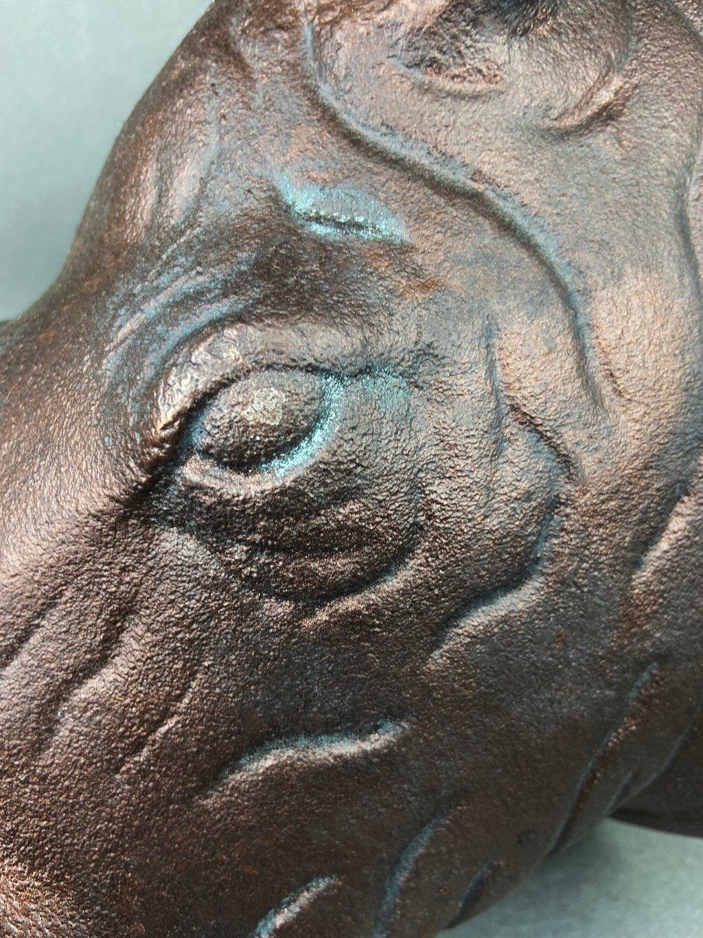 Distressed Bronze Rhino Head Wall Hanging, Safari Decor