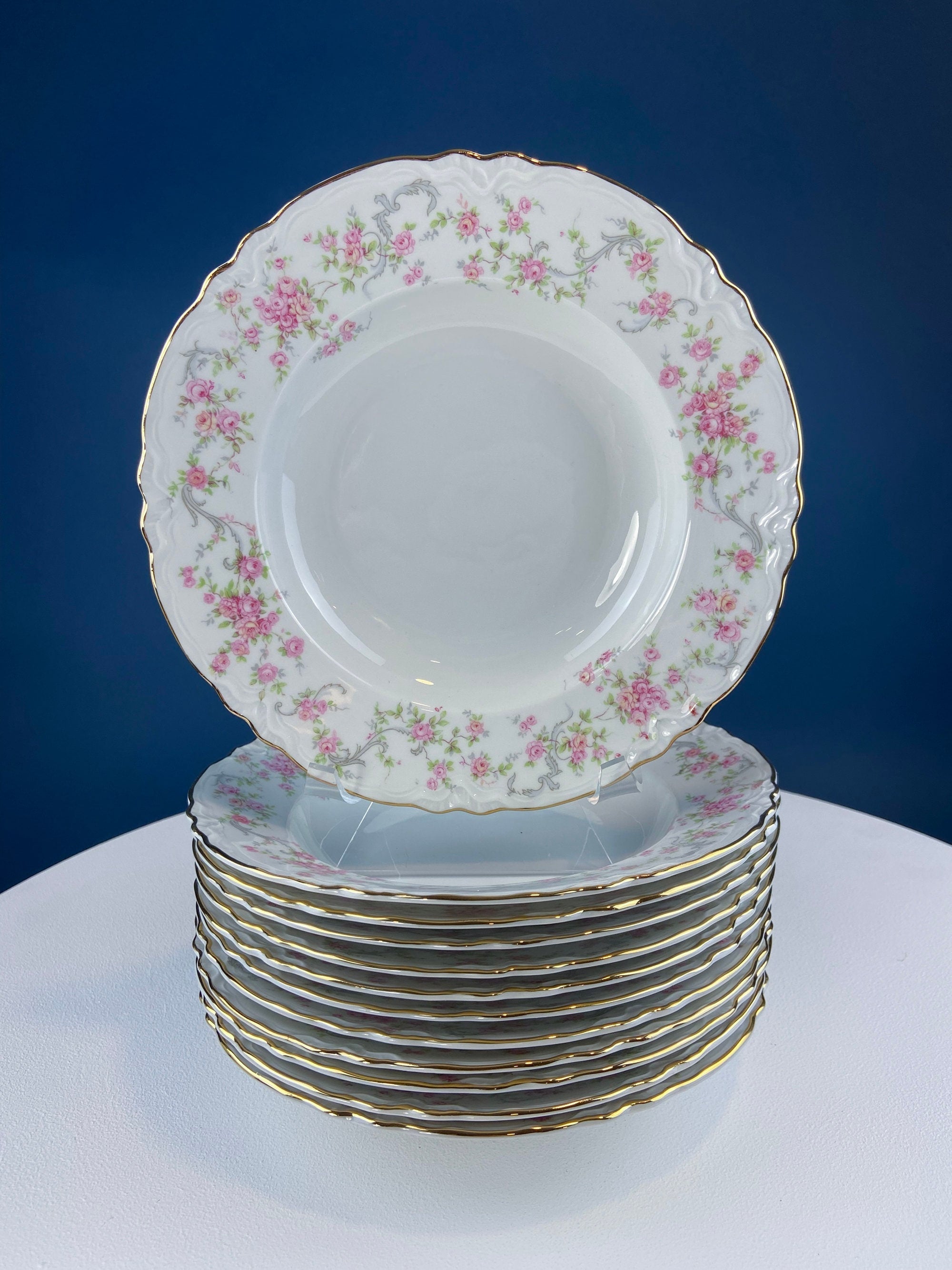 Antique Hutschenreuther Porcelain Soup Plates. Set of 12, Richelieu Rose Garlands Motif. Wedding Gift Idea. Fine Dining. Modern Farmhouse.