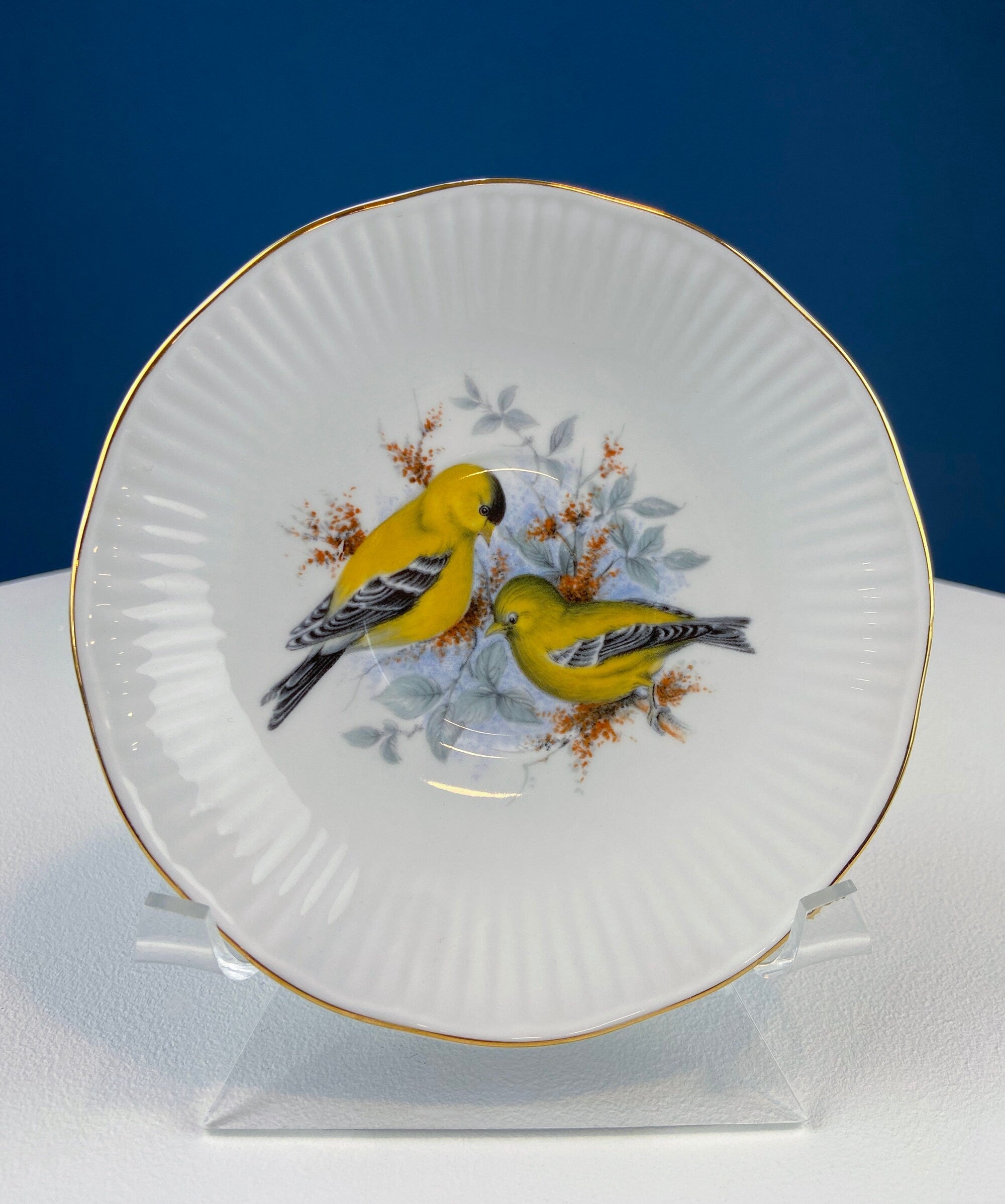 Vintage Cup and Saucer with Blue Birds. Queens's Fine Bone China. Birds of America. Pair of Kingfishers. Gift for Dad, Fisherman, Bird Lover