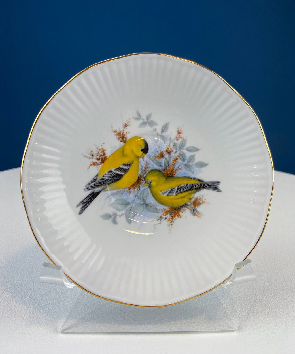 Vintage Cup and Saucer with Yellow Birds. Queens's Fine Bone China. Birds of America. Pair of Finches. Gift of Love. Modern Farmhouse.