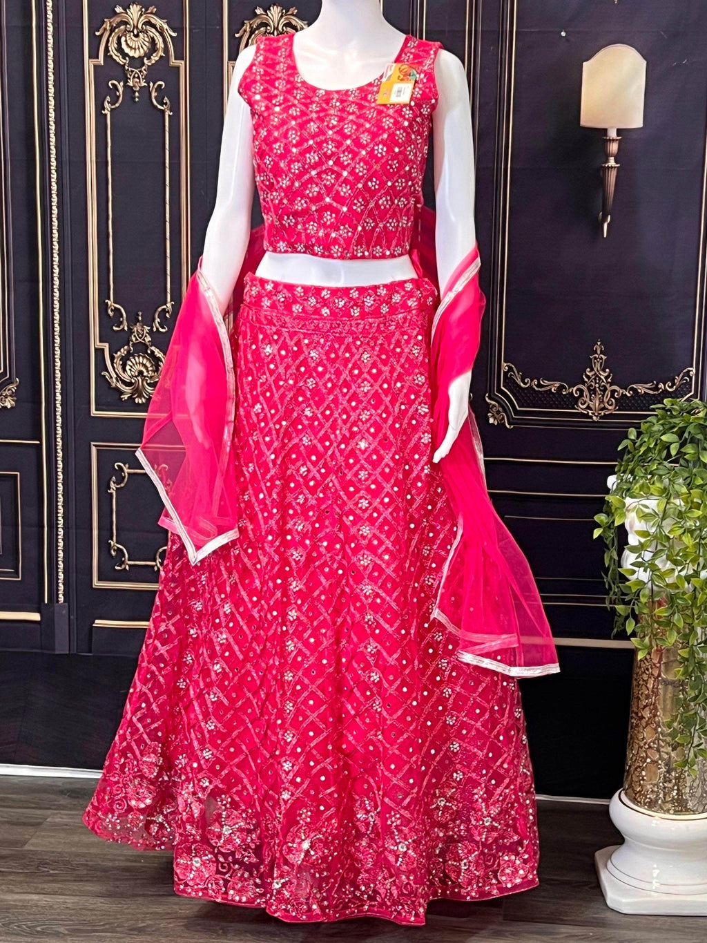 Party wear lehenga Choli set