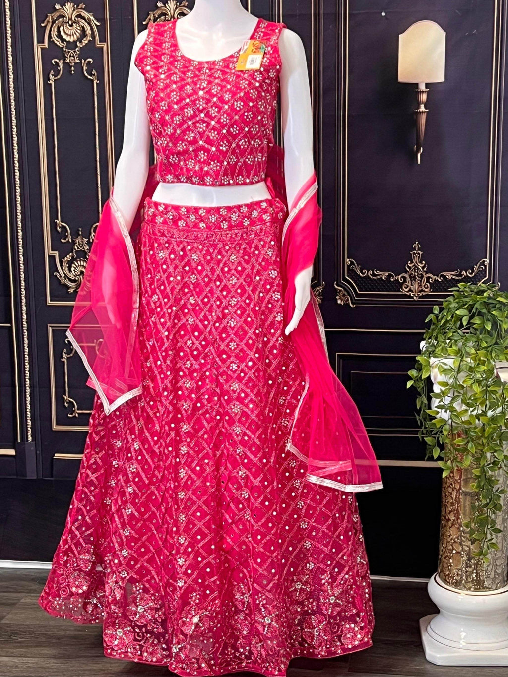 Party wear lehenga Choli set