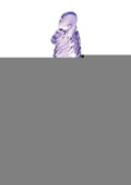 King Cock Clear Dildo