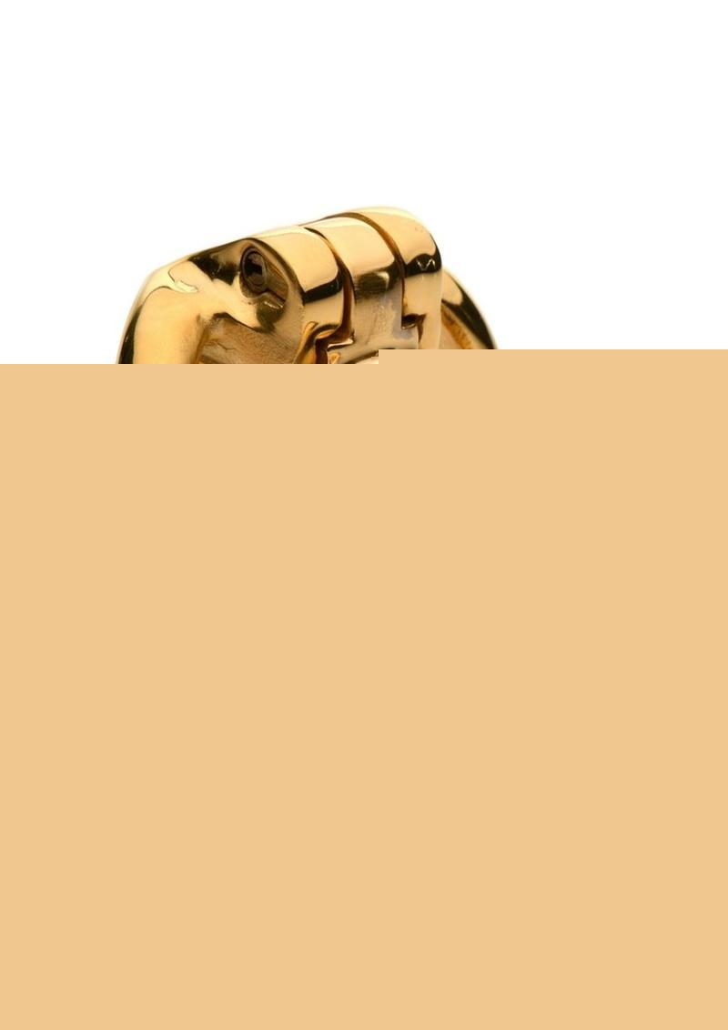 Master Series Midas 18k Gold-Plated Locking Chastity Cage