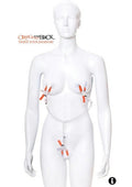 Orange Is The New Black Triple Your Pleasure Nipple and Clitoral Clamps with Chain