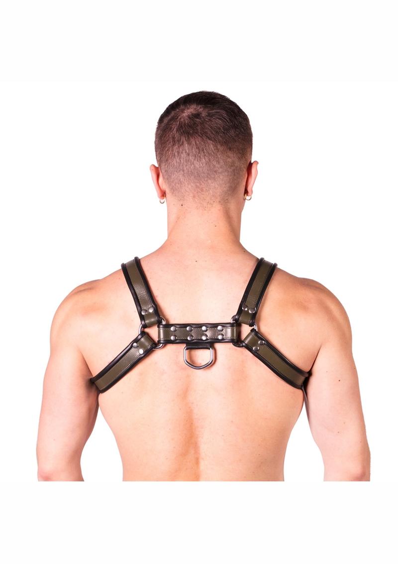 Prowler Red Bull Harness