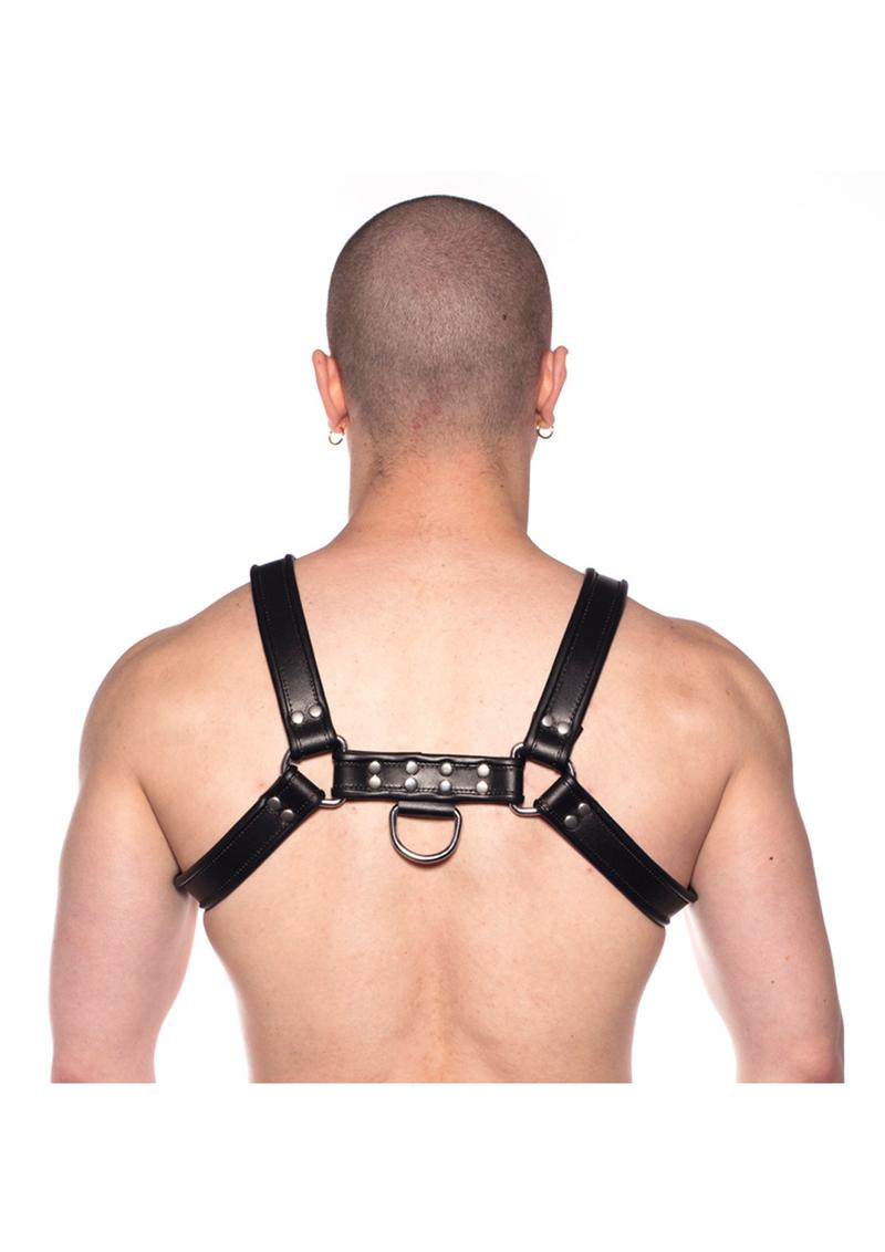 Prowler Red Bull Harness
