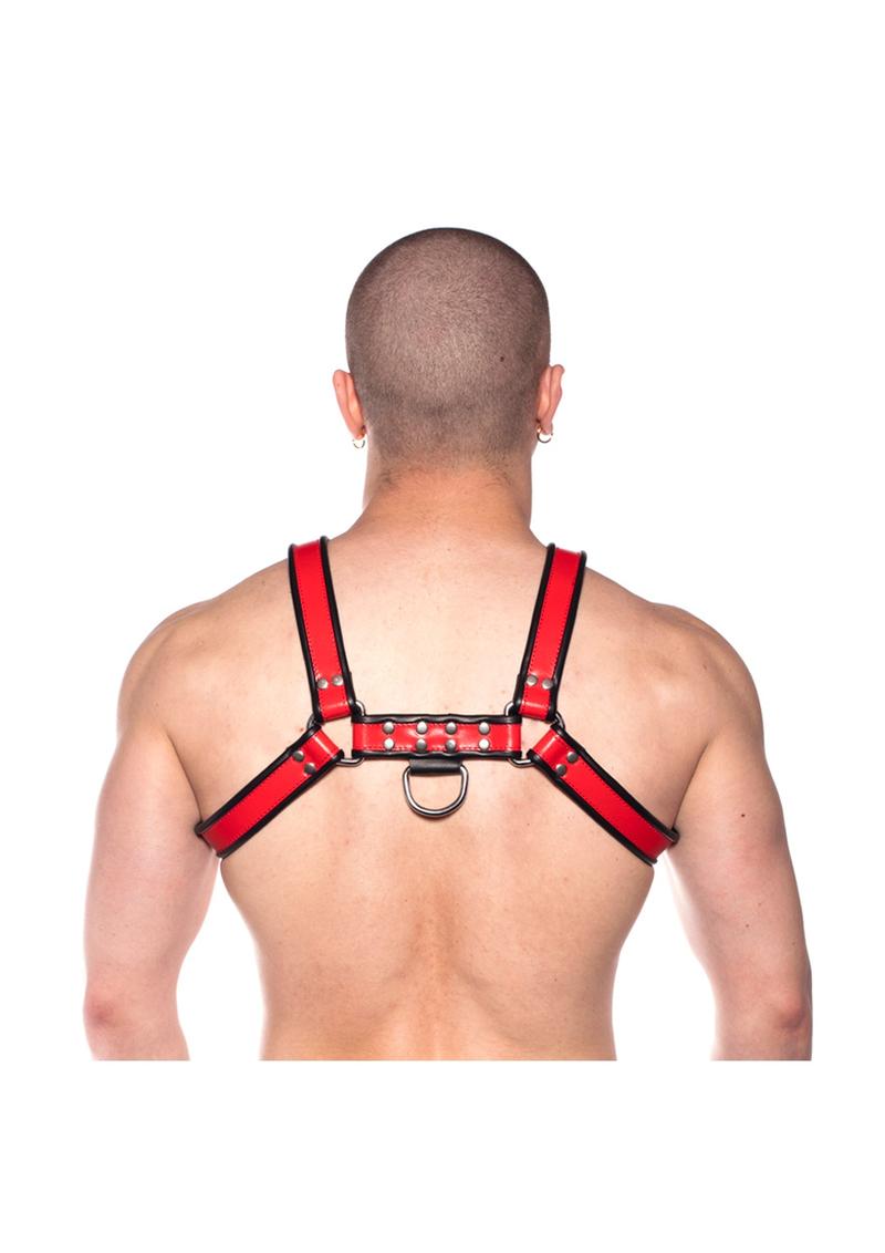 Prowler Red Bull Harness