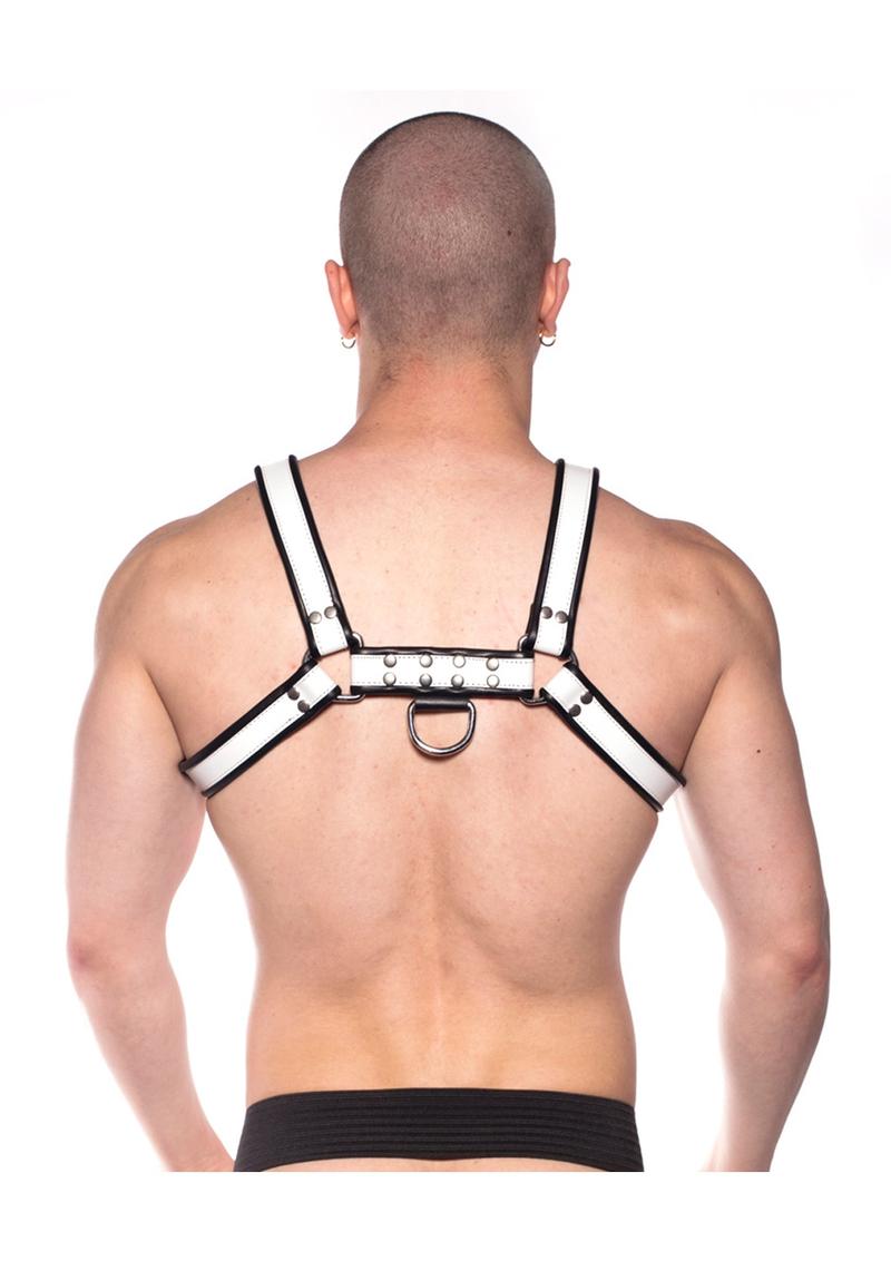 Prowler Red Bull Harness