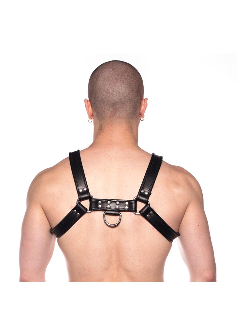 Prowler Red Bull Harness