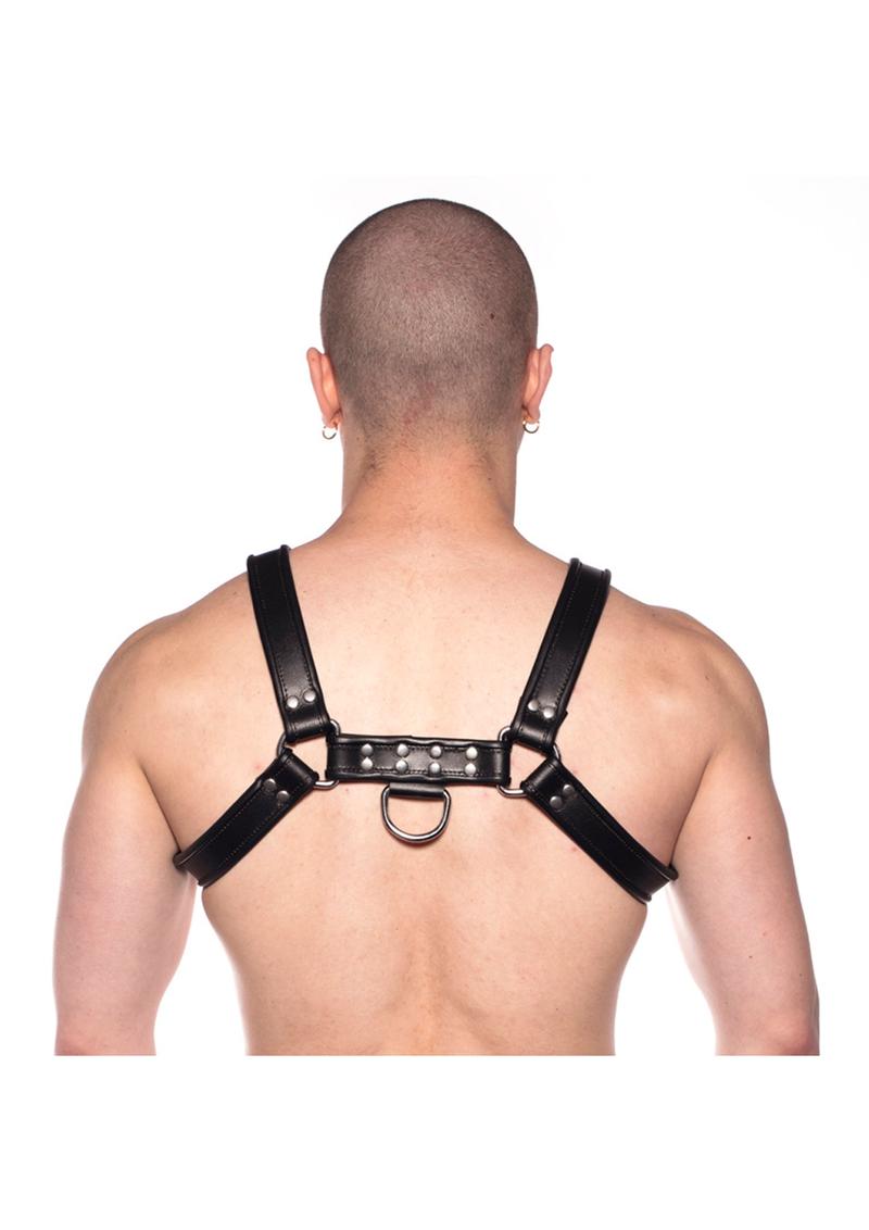 Prowler Red Bull Harness