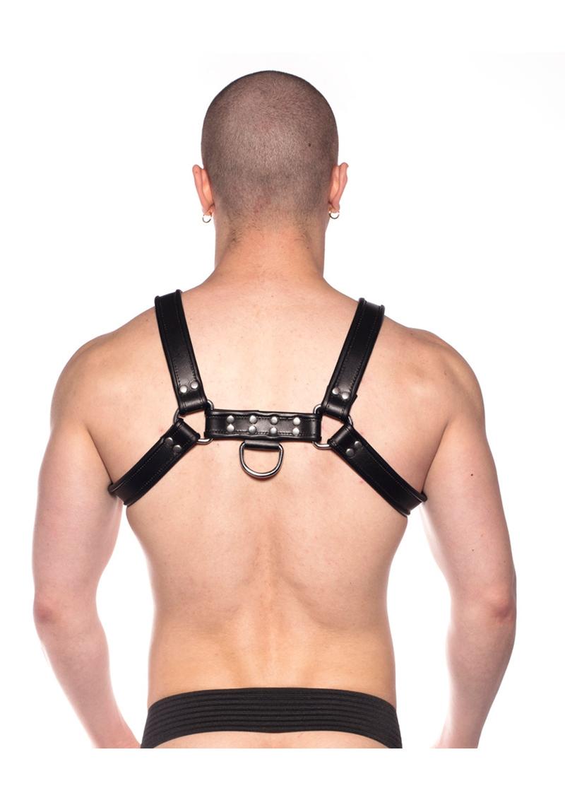 Prowler Red Bull Harness