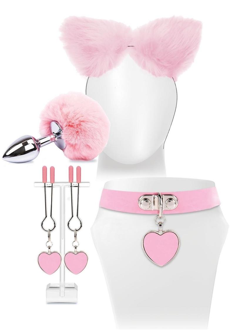 Try Curious Kitty Kit