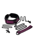 WhipSmart Dragon's Lair Collar, Leash and Nipple Clips