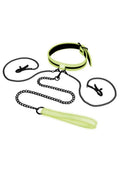 WhipSmart Glow In The Dark Collar with Nipple Clips and Leash