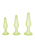 WhipSmart Glow In The Dark Silicone Anal Training Kit