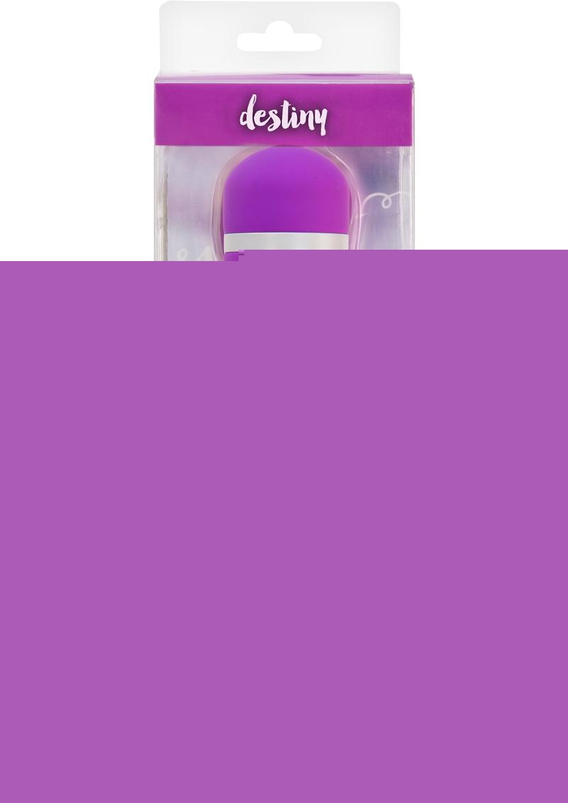 Wonderlust Destiny Silicone Rechargeable Wand Massager